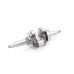 Crankshaft Fit for Rato RM120-V Rammer Engine Parts No.13300-Z1F0110-