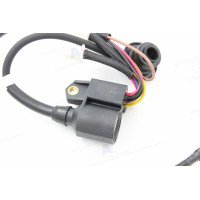 DJ148 97653 Ignition Coil Fits Westin House,Predator 2Kw Inverter Generator
