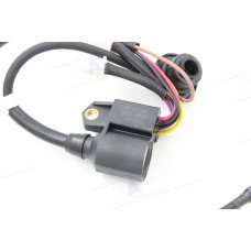 DJ148 97653 Ignition Coil Fits Westin House,Predator 2Kw Inverter Generator