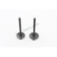 Inlet&Outlet Valve Fits Harbor Freight Predator 22HP 670cc V Twin Engine