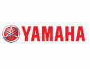 YM